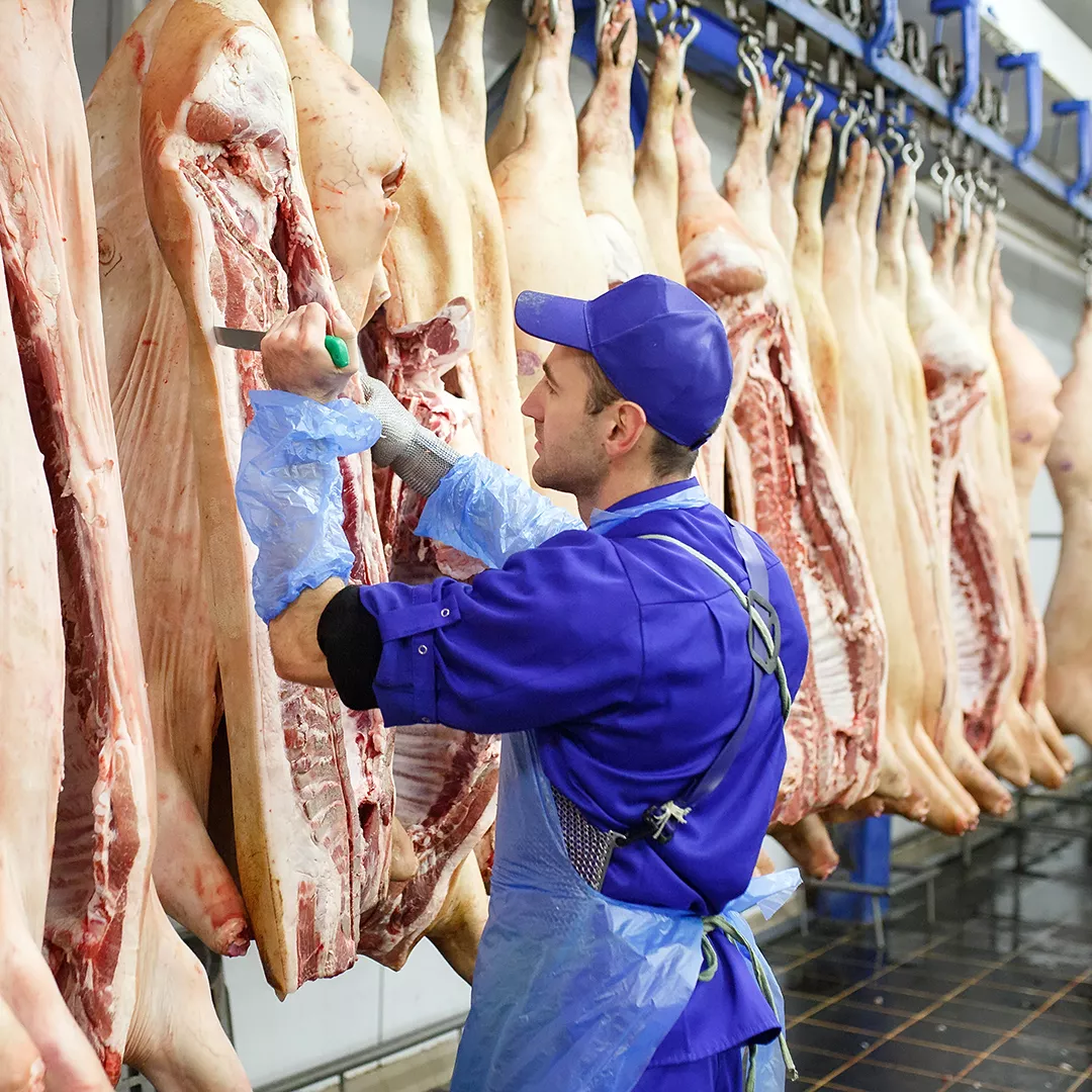 Operação de Frigoríficos e proteínas