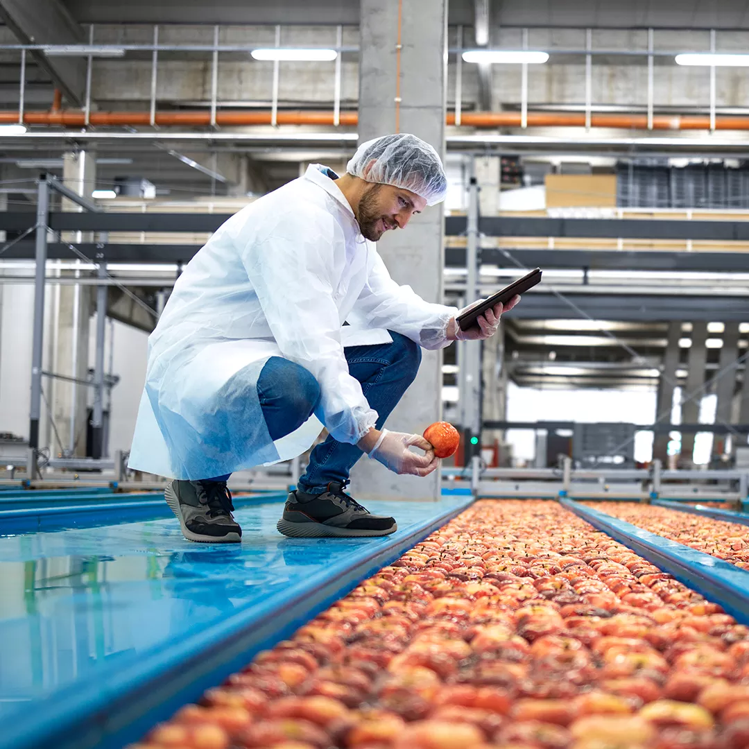 Operação de Hortifrúti e beneficiamento